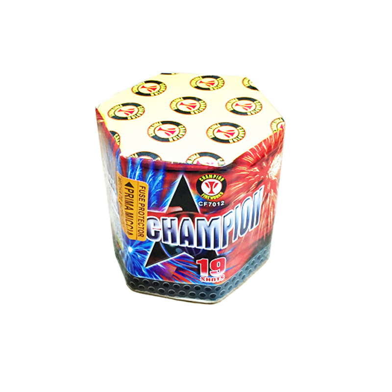Campione 19 colpi torta fuochi d'artificio